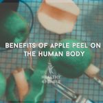 Benefits of apple peel on the human body