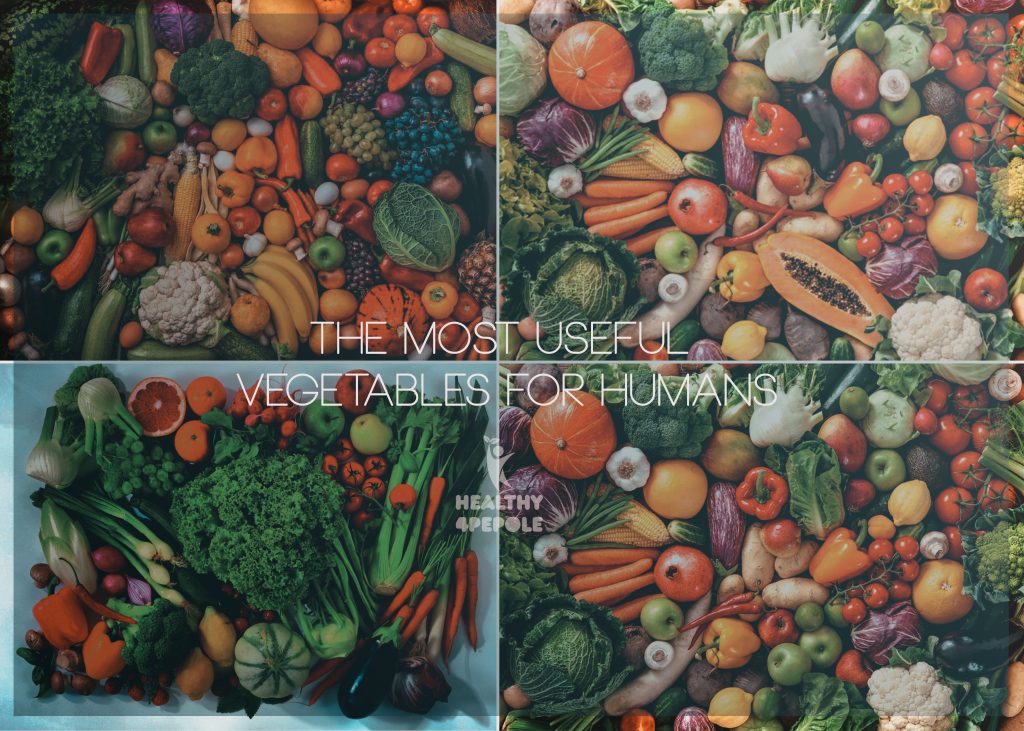 The Most useful Vegetables for Humans