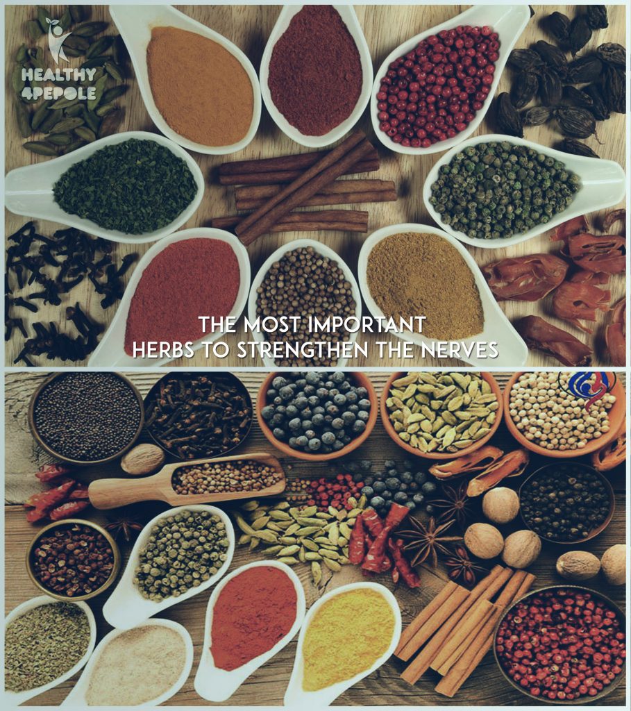 Definition of nerves The most important herbs to strengthen the nerves