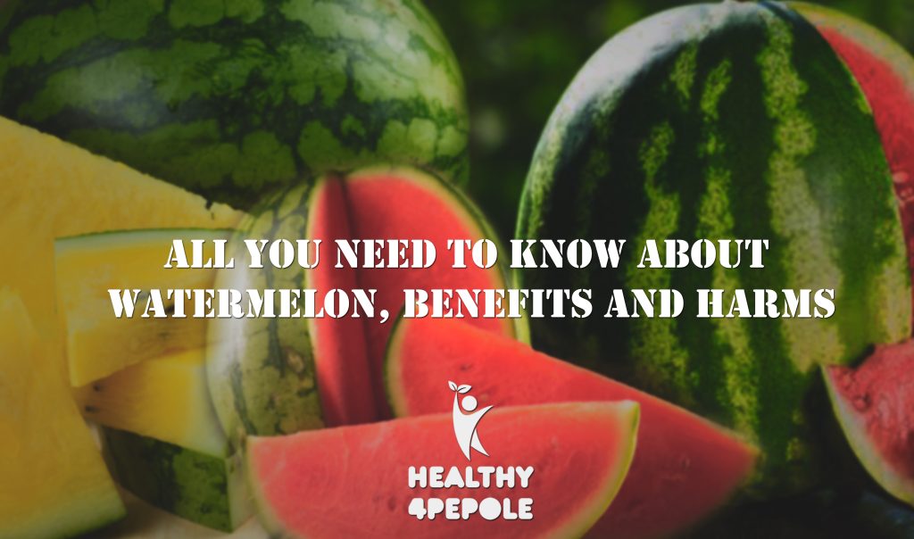 All you need to know about watermelon, benefits and harms