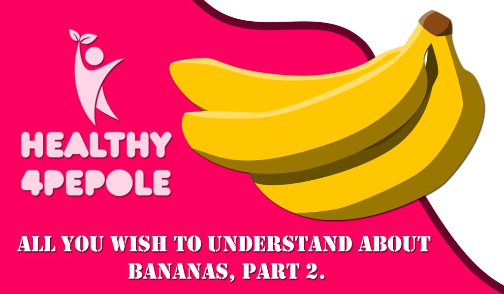 All you would like to know about bananas, Part 2