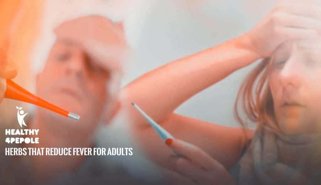 Herbs That Reduce Fever for Adults